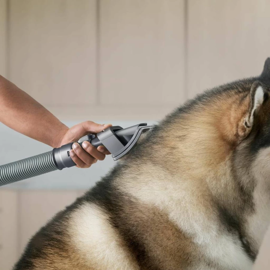 Dyson Groom Tool Attachment for Upright Vacuums – Pet Hair & Debris Cleaning Brush